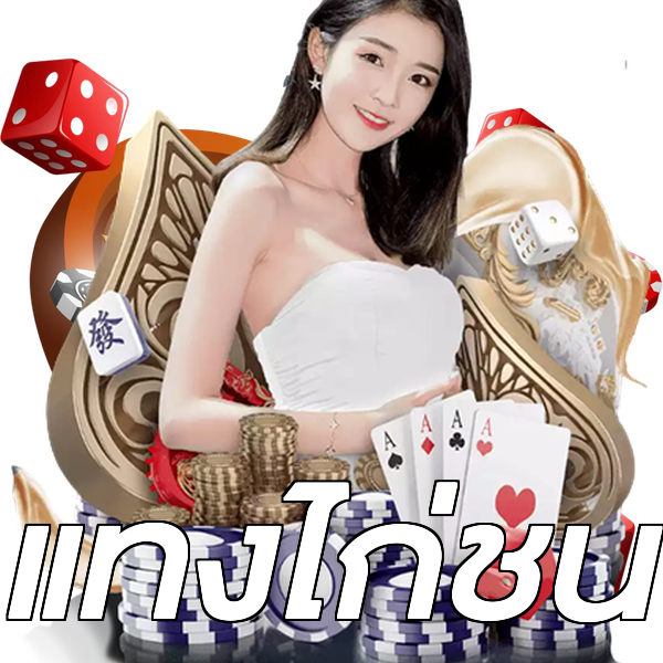 แทงไก่ชน